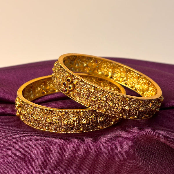 Elegant, Handcrafted Lakshmi Kasu Bangle Set - HS925